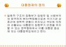 한국의대통령제와 미국의 대통령제 비교 3페이지