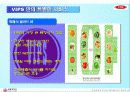 외식 서비스 기업 VIPS(빕스)의 서비스전략과 마케팅 그리고 서비스 경쟁우위 27페이지
