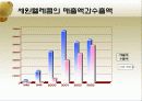 중국진출성공실패사례(삼성전자와세원텔레콤 20페이지