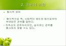 [교육행정] 교사와 교육권 15페이지