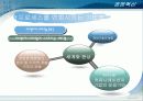 경영혁신과 구체적인 기업의 사례 36페이지