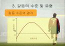 갈등과 권력 28페이지