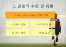 갈등과 권력 29페이지
