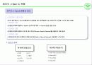 e스포츠현황분석 8페이지