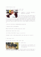성도착증에 관한 연구 11페이지