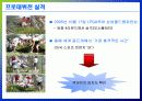 미셀위(위성미) 경제적 파급효과 5페이지