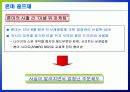미셀위(위성미) 경제적 파급효과 7페이지