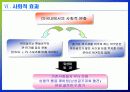 미셀위(위성미) 경제적 파급효과 9페이지