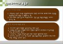 현명한 투자자 9페이지