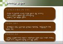 현명한 투자자 13페이지