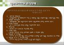 현명한 투자자 17페이지