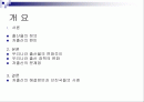 저출산의 문제점 및 해결방안(A+레포트) 2페이지