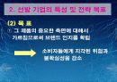 경영전략[선발기업과 후발기업의 Catch-up 전략] 5페이지
