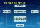 경영전략[선발기업과 후발기업의 Catch-up 전략] 9페이지