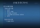 [인사관리] 대기업의 사원선발과정과 사례(삼성전자, 대한항공, 태평양) 6페이지