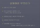 성매매 문제점과 대책(A+레포트)★★★★★ 4페이지