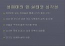 성매매 문제점과 대책(A+레포트)★★★★★ 5페이지