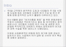 건전한 여가소비문화 정착방안 2페이지