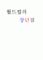 월드컵의 장단점 1페이지