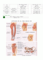 근육의 기능, 역활과 지배신경의 작용 8페이지