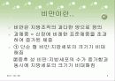 운동부족으로 인한 비만의 문제 4페이지