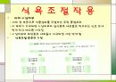 비만,비만질병,식욕,비만판정 3페이지