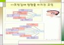 비만,비만질병,식욕,비만판정 5페이지