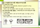 비만,비만질병,식욕,비만판정 9페이지