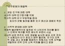 인구문제 11페이지