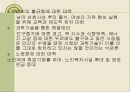 인구문제 12페이지