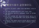 인스턴트 식품의 문제점 10페이지