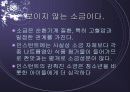 인스턴트 식품의 문제점 12페이지