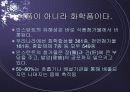 인스턴트 식품의 문제점 13페이지