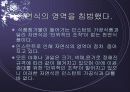 인스턴트 식품의 문제점 15페이지