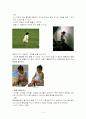 24~36개월 영아의 발달적 특징과 교육적 적용(A+레포트)★★★★★ 5페이지