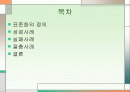 표준화 전략과 그 사례 2페이지