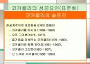 표준화 전략과 그 사례 19페이지