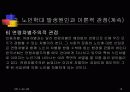 노인학대 문제점과 대처방안 15페이지
