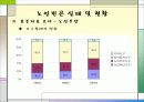 노인 빈곤의 문제점 및 대안제시 4페이지