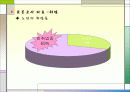 노인 빈곤의 문제점 및 대안제시 12페이지
