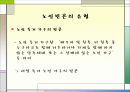 노인 빈곤의 문제점 및 대안제시 18페이지