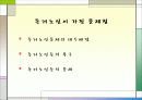 노인 빈곤의 문제점 및 대안제시 20페이지