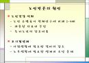 노인 빈곤의 문제점 및 대안제시 21페이지
