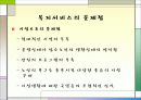 노인 빈곤의 문제점 및 대안제시 29페이지
