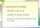 노인 빈곤의 문제점 및 대안제시 30페이지