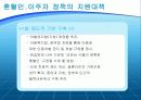혼혈정책 문제점 및 대안제시 12페이지
