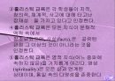 홀리스틱 교육-교육방법 및 교육공학(A+레포트) 12페이지