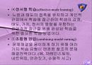 홀리스틱 교육-교육방법 및 교육공학(A+레포트) 18페이지