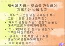 홀리스틱 교육-교육방법 및 교육공학(A+레포트) 32페이지