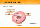 빈곤아동 지원서비스 9페이지